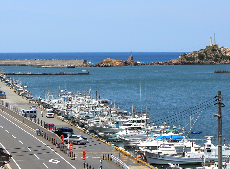 新鮮な海の幸